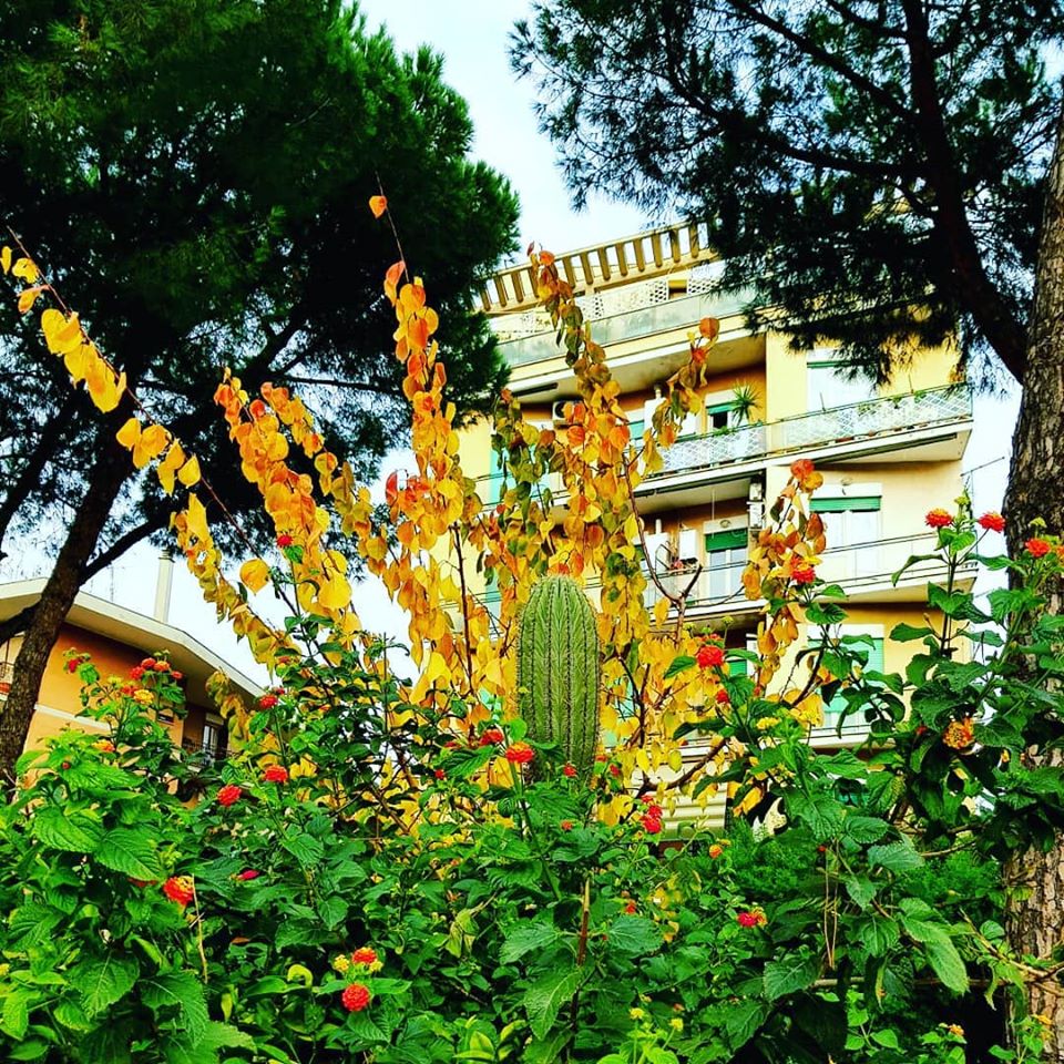 Il giardino tropicale a via dei noci